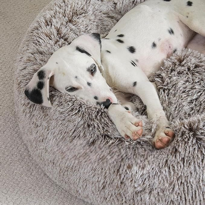 Lit pour Chien - FluffyDogBed™ - Café Dégradé - Repos Chien