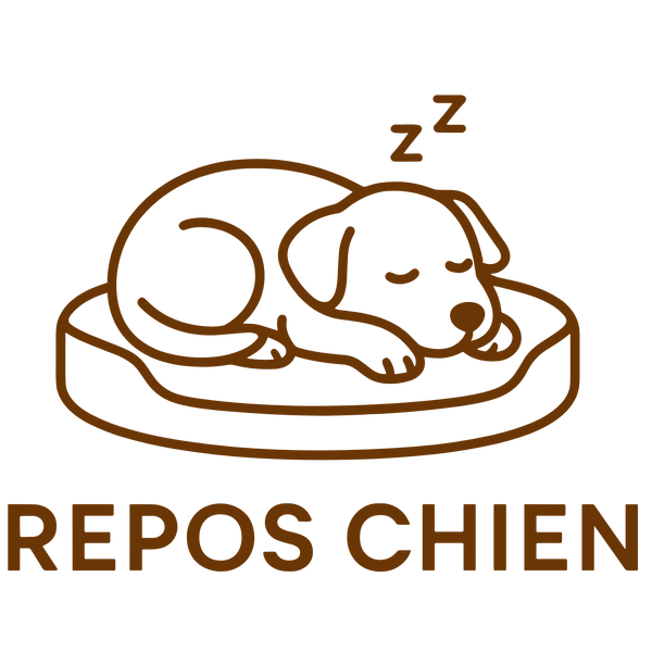 Repos Chien